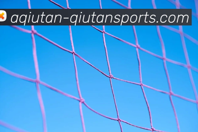 球探体育部门品牌故事