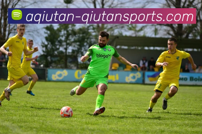 球探体育部门服务体系